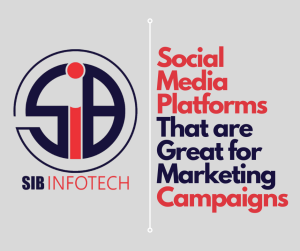 Social Media Platforms That are Great for Marketing Campaigns