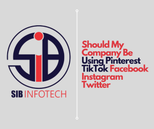 Should My Company Be Using Pinterest TikTok Facebook Instagram Twitter